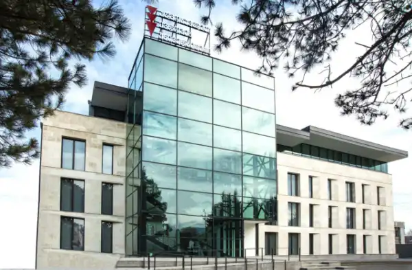 East European University